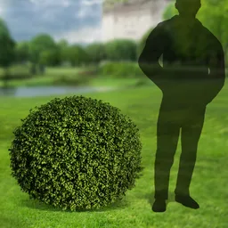 Detailed spherical 3D bush model for Blender, ideal for rendering realistic garden scenes