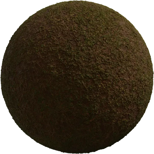 Sparse Grass