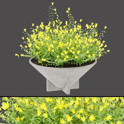 Yellow Bellflower Concrete Planter