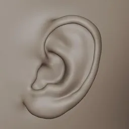 Generic Male Ears Realistic