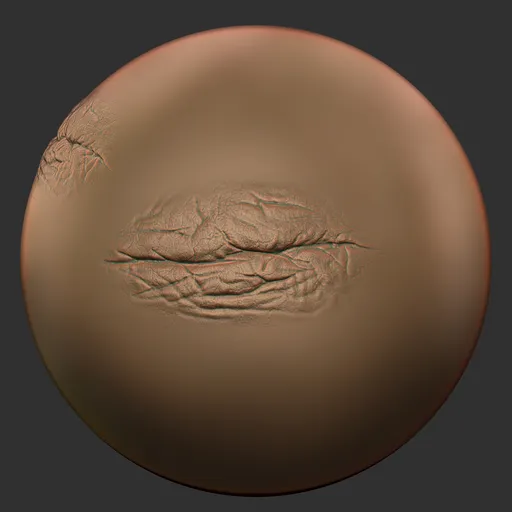 ER_Human Skin(T) 96