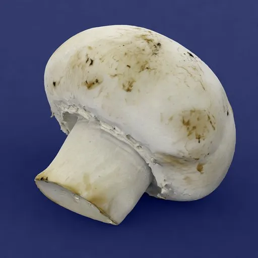 White mushroom organic food scan