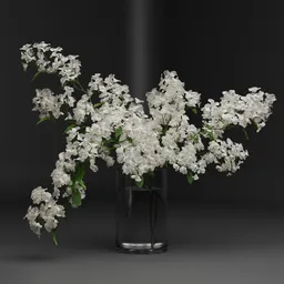 White Blossom Branches