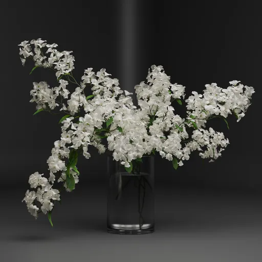 White Blossom Branches