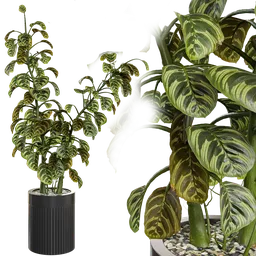 Realistic 3D indoor plant in a pot, Blender 3.6 cycles render, detailed textures, available in .blend format.