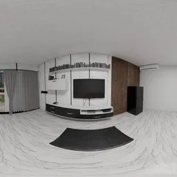 Contemporary Living Room