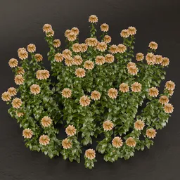 SJ-Heavenly Petal Cascade