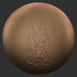 ER_Wood Brush-Wood Fibers Soft