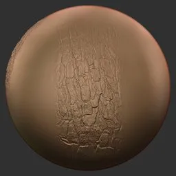 ER_Wood Brush-Wood Fibers Soft