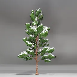 Snow Pine Toon Tree