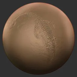 ER_Fossil Brush-dinosaur