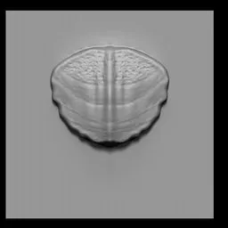 NS Sea Creature scale sculpting brush imprint for 3D models detail on Blender.