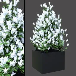 White Bellflower Planter