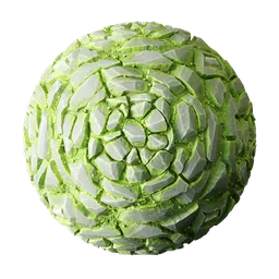 Stylized Stone Ground Circle