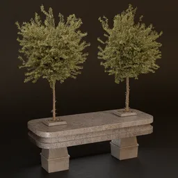 SJ- Stillness Tree Form