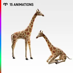 Baby Giraffe + 15 Animations