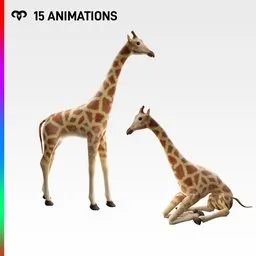 Baby Giraffe + 15 Animations