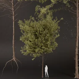 SJ-Verdant Pine Embrace