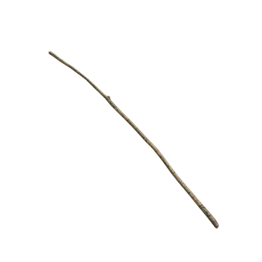 Debris and twigs