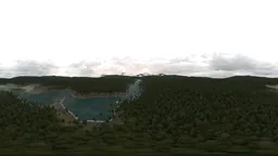 Overcast Day over Forest