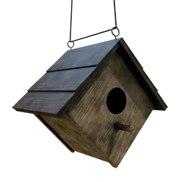 Bird feeder