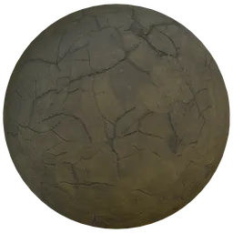 Mossy concrete cracked