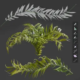 Procedural Palm