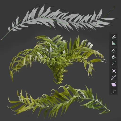 Procedural Palm