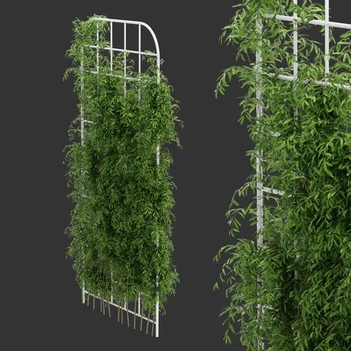 Grid Ivy Simple Plant