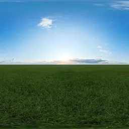 Green grass cloudy blue sky pure sky