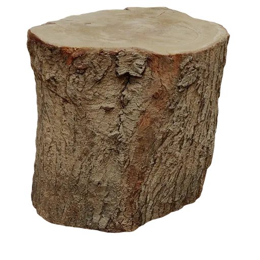 Highly detailed stump 3D asset with textured bark and rings, optimized for Blender rendering and animation.
