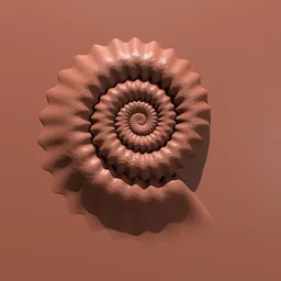 Shell Fossil Brush - 03