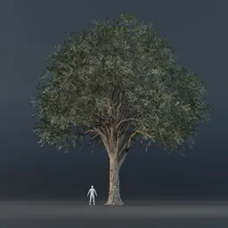Oak Tree - Tall (Summer)