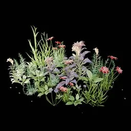 Garden and Yard Plants