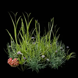 Garden and Yard Plants