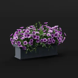 Purple Petunia Planter