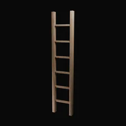 Wall Ladder