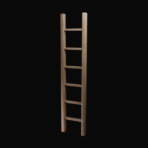 Wall Ladder