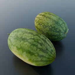 Watermelon Elongated