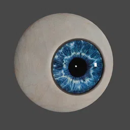 Detailed blue human eye 3D model for Blender, high-resolution textures, realistic iris and sclera.