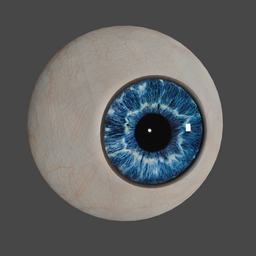 Detailed blue human eye 3D model for Blender, high-resolution textures, realistic iris and sclera.