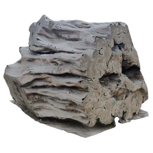 Tree Trunk Scanned