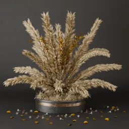 SJ-coastal pampas interior styling