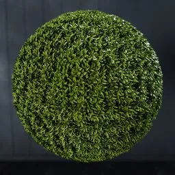 Detailed Blender 3D model of a lush green artificial Aptenia ball, versatile for indoor nature scenes, created with geometry nodes.