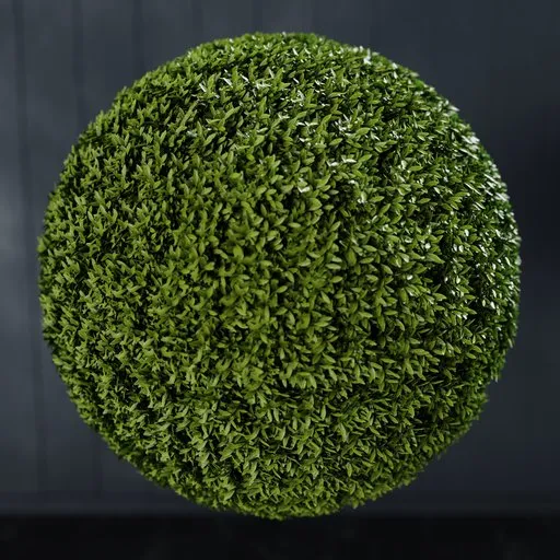 Detailed Blender 3D model of a lush green artificial Aptenia ball, versatile for indoor nature scenes, created with geometry nodes.