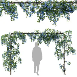 flower ivy Trellis plant