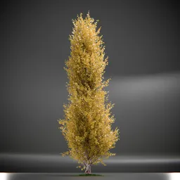 Tree Princeton Sentry Animated