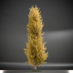 Tree Princeton Sentry Animated