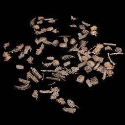 Natural Ground Debris