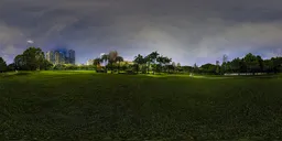 Green grass at night